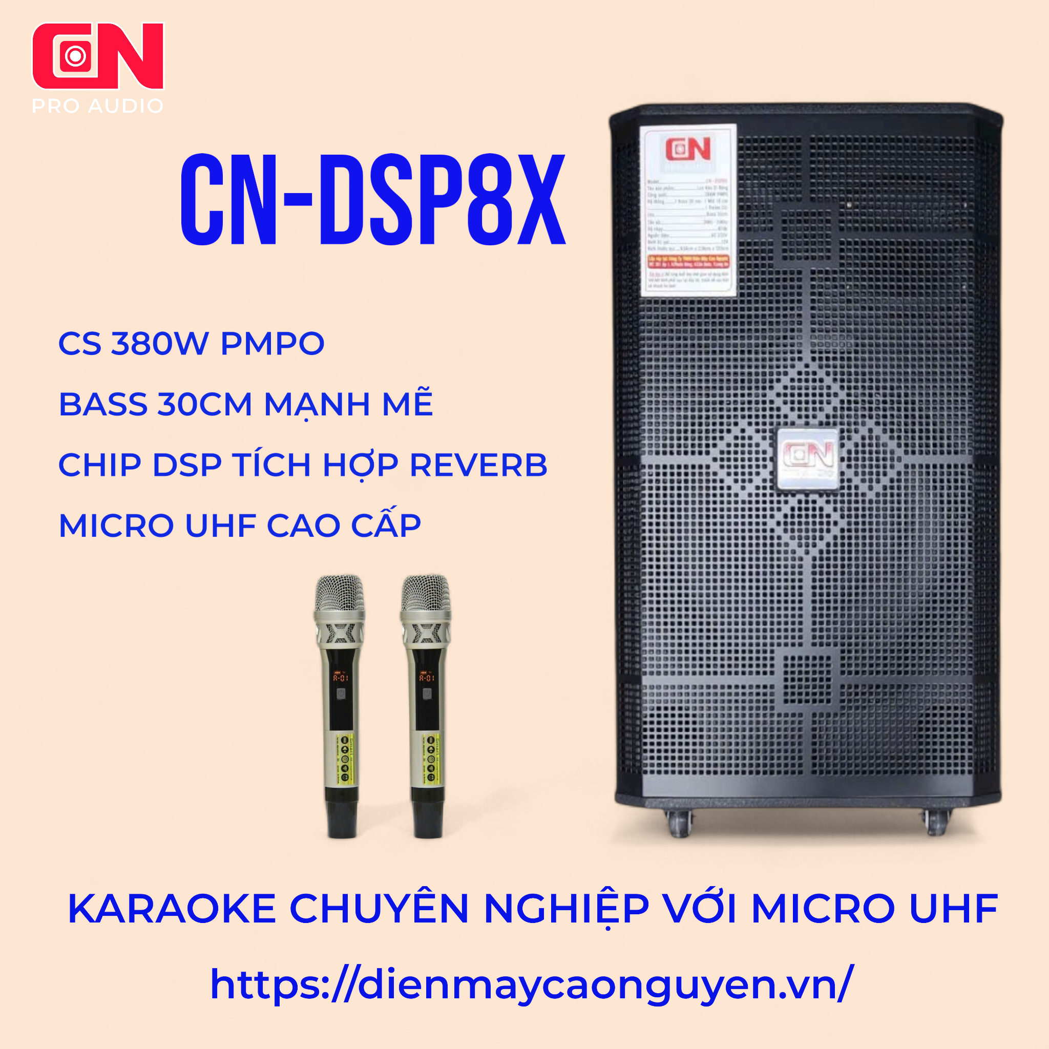 CN DSP8X-Photoroom (2)