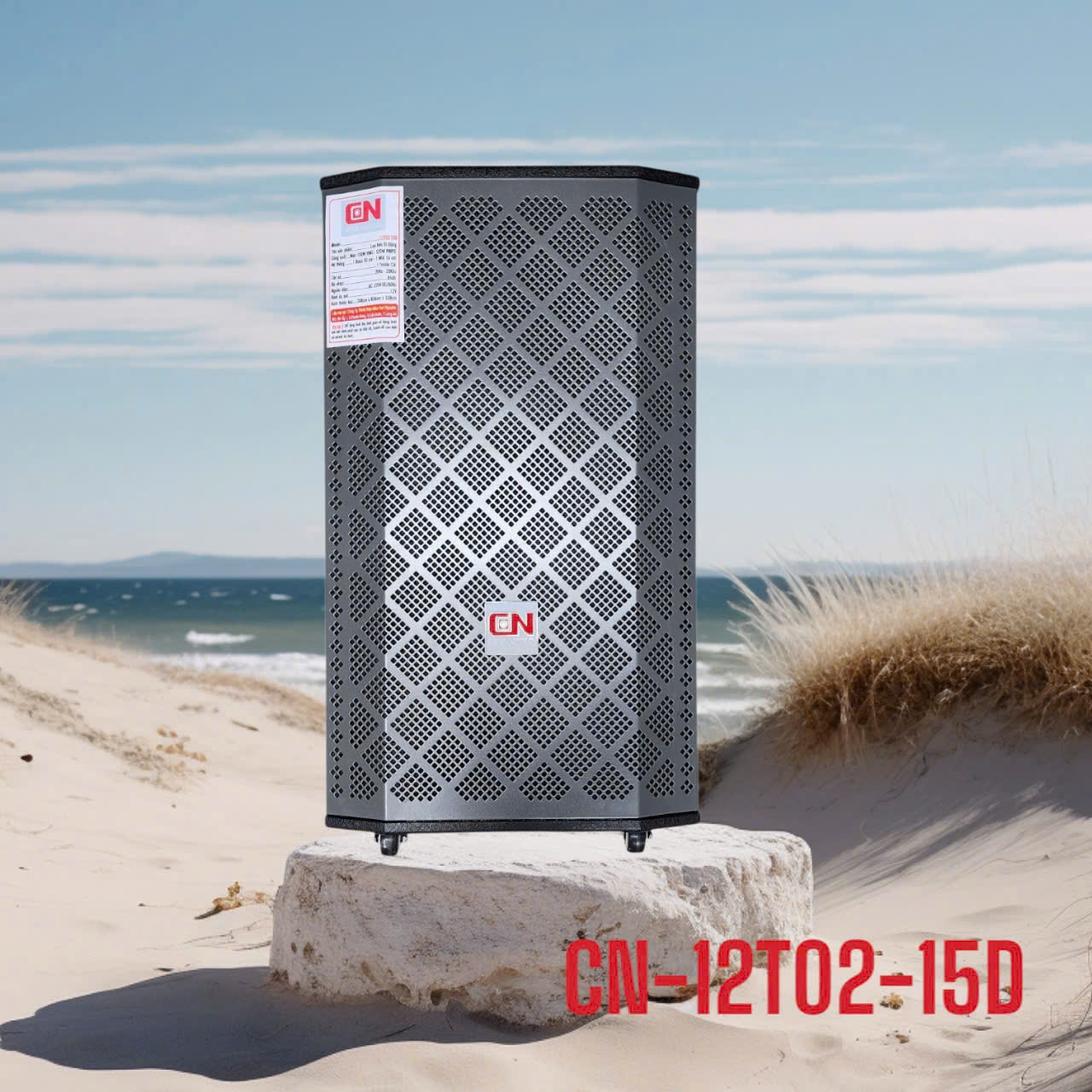 cn12t02-15d